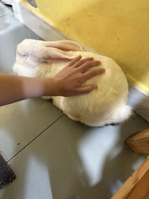 日常分享